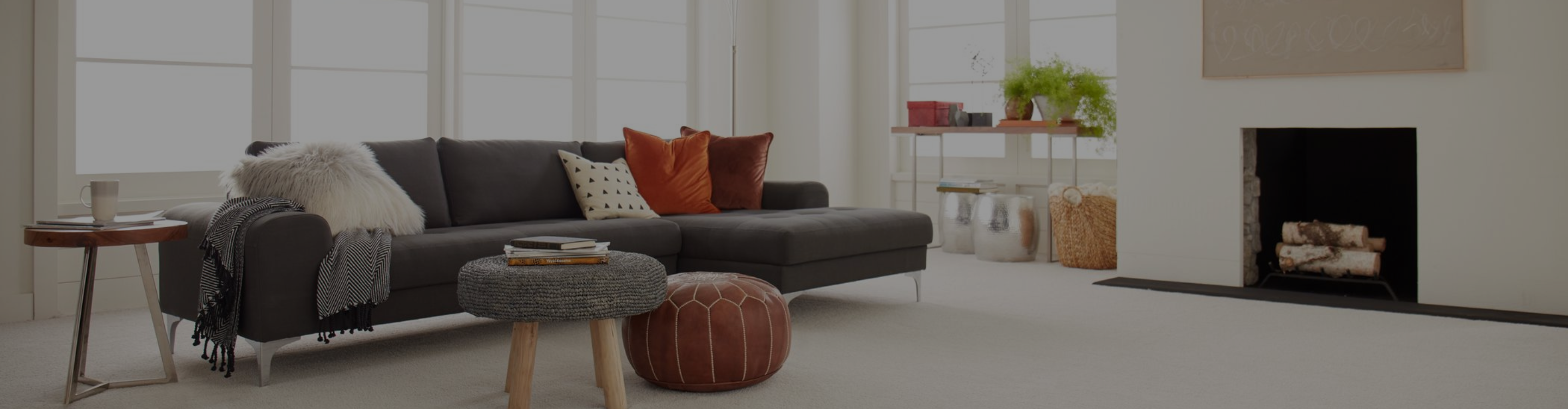 tigressa carpeting in OR