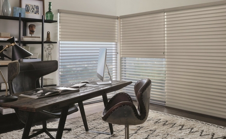 Hunter Douglas shades