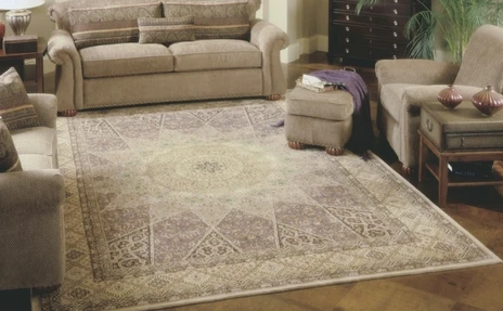 Nourison area rug in living room